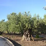 In Sciacca With Garden, Swimming Pool, Parking Hébergement de vacances